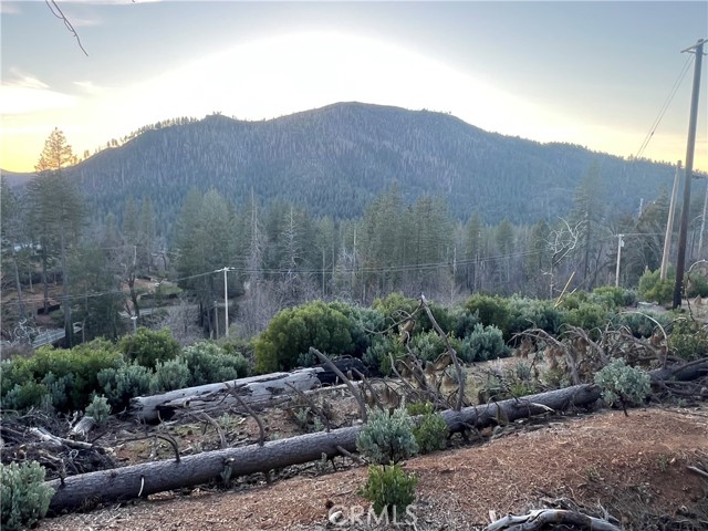 16790 Starview Loop Rd, Cobb