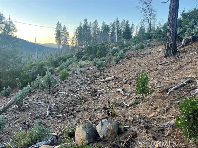 16710 Starview Loop Rd, Cobb