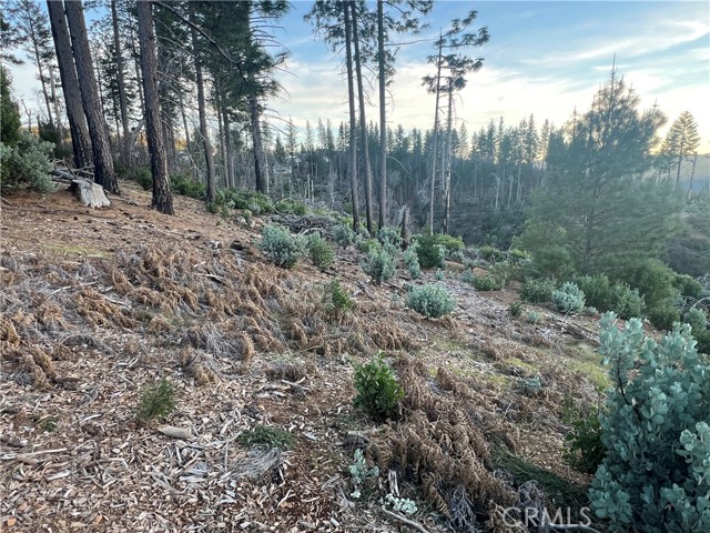 16710 Starview Loop Rd, Cobb