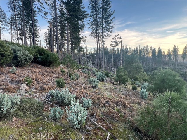 16710 Starview Loop Rd, Cobb