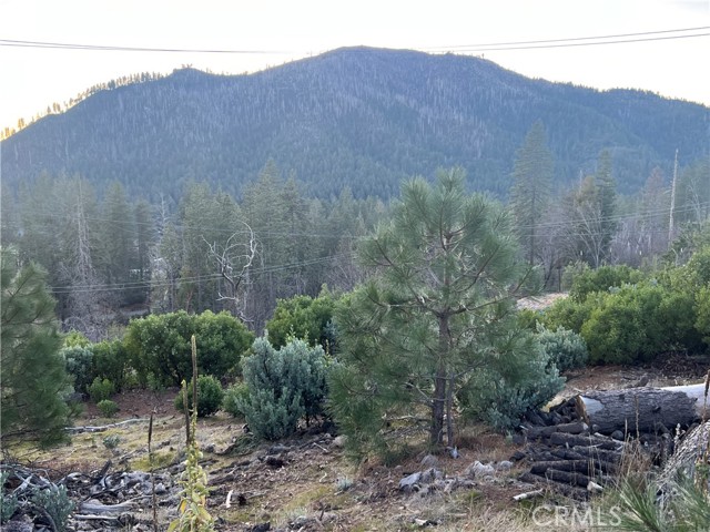 16710 Starview Loop Rd, Cobb