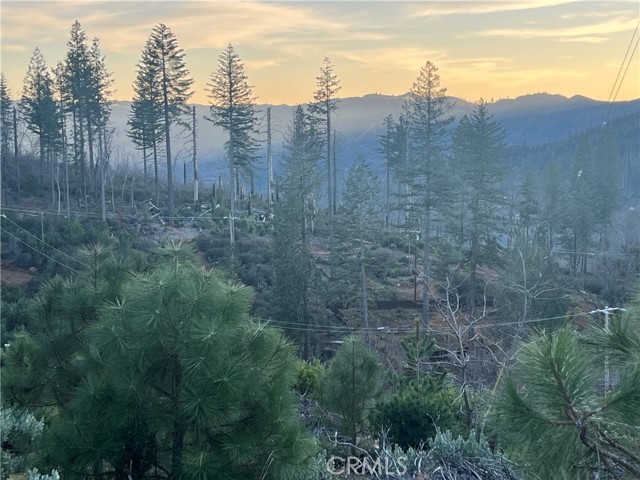 16710 Starview Loop Rd, Cobb