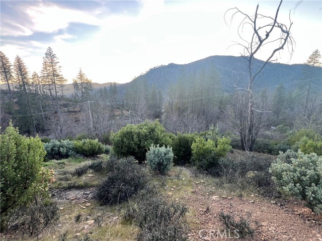 16710 Starview Loop Rd, Cobb