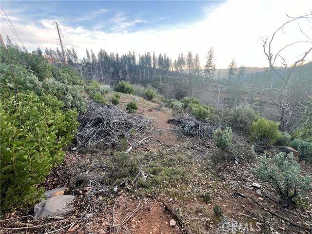 16710 Starview Loop Rd, Cobb