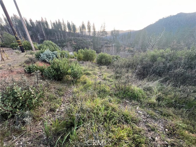 16710 Starview Loop Rd, Cobb