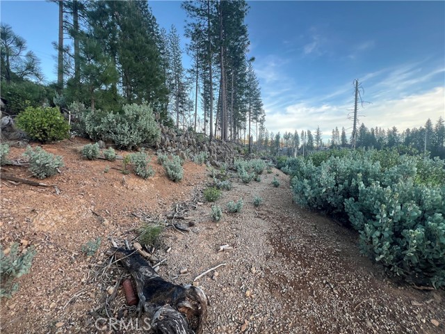 16710 Starview Loop Rd, Cobb