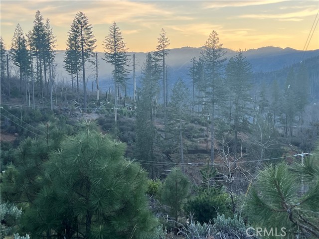 16789 Starview Loop, Cobb