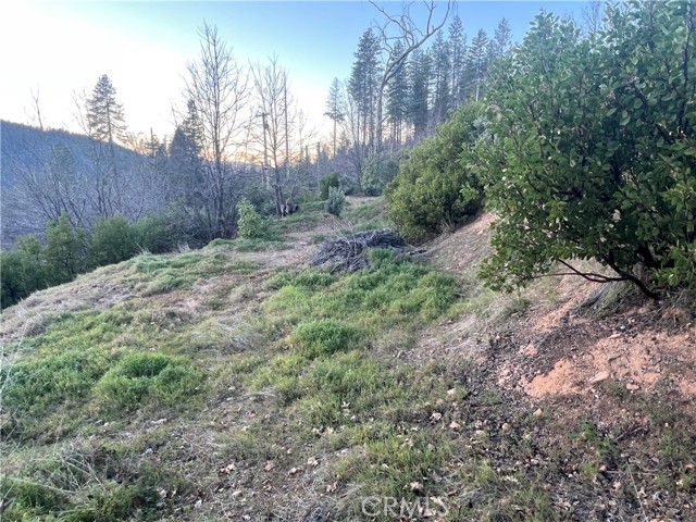 16709 Starview Loop, Cobb