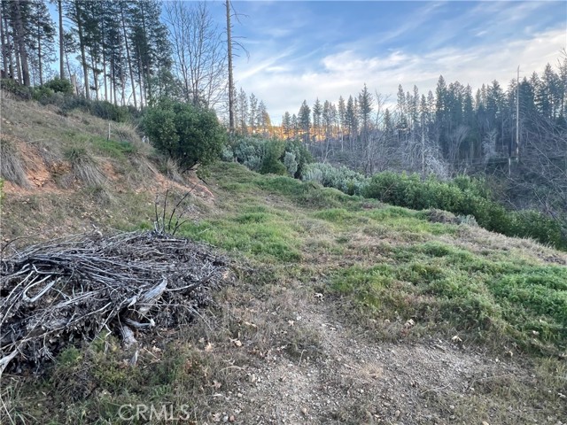 16709 Starview Loop, Cobb