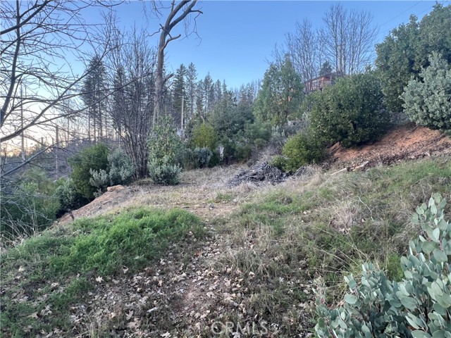 16709 Starview Loop, Cobb