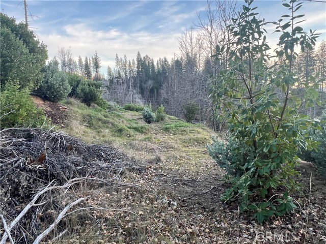 16709 Starview Loop, Cobb