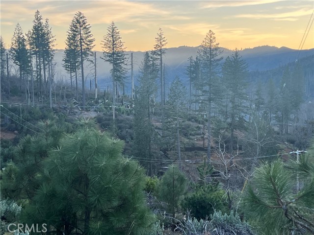 16709 Starview Loop, Cobb