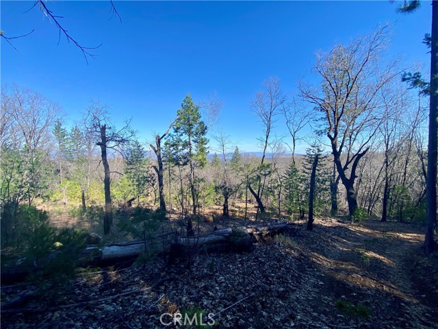 10130 Seigler Springs North, Kelseyville