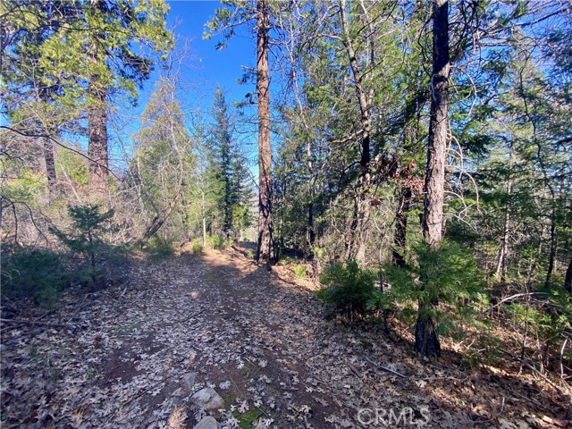 10130 Seigler Springs North, Kelseyville