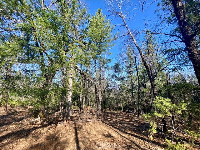 10130 Seigler Springs North, Kelseyville