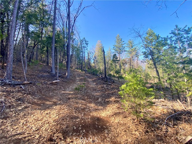 10130 Seigler Springs North, Kelseyville