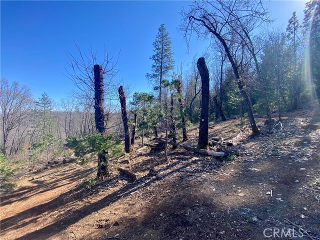 10130 Seigler Springs North, Kelseyville