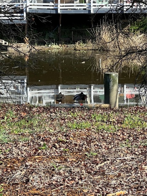 13344 Anchor Village, Clearlake Oaks