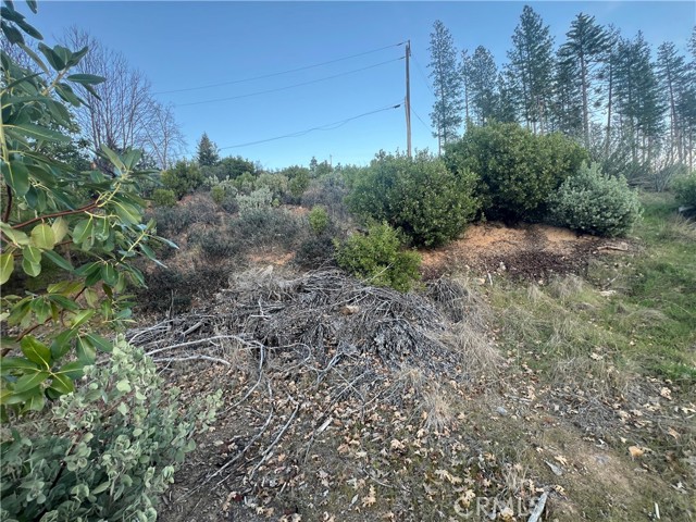 16749 Starview Loop Road, Cobb