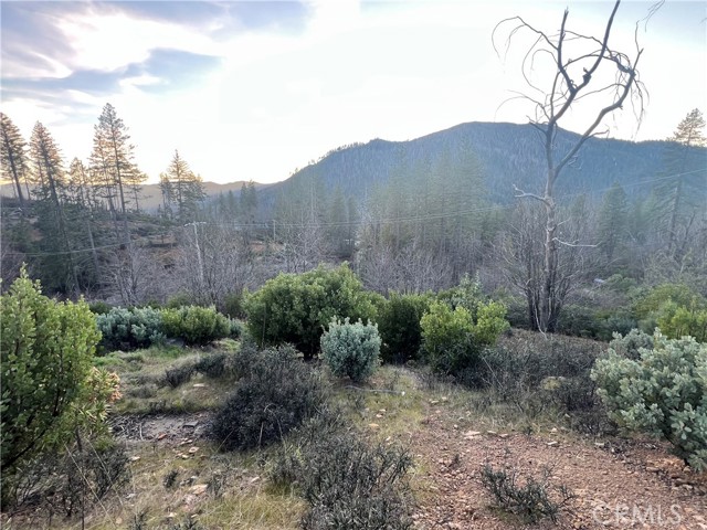 16749 Starview Loop Road, Cobb