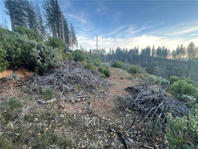 16749 Starview Loop Road, Cobb