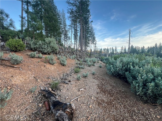 16749 Starview Loop Road, Cobb