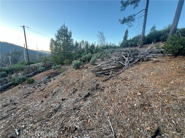 16749 Starview Loop Road, Cobb