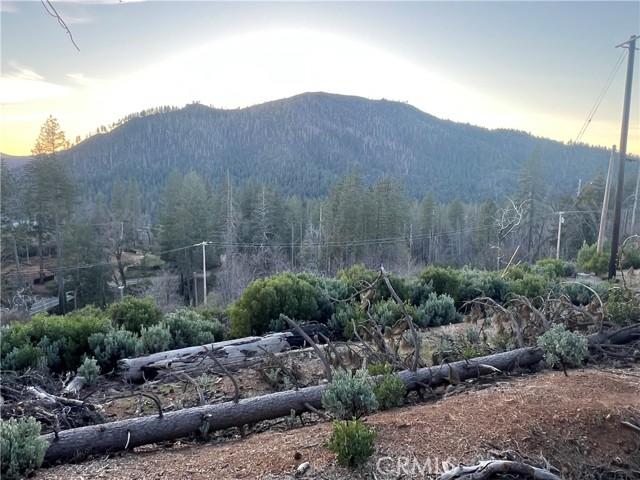 16749 Starview Loop Road, Cobb