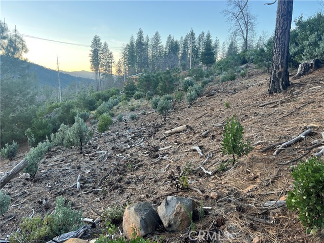 16749 Starview Loop Road, Cobb