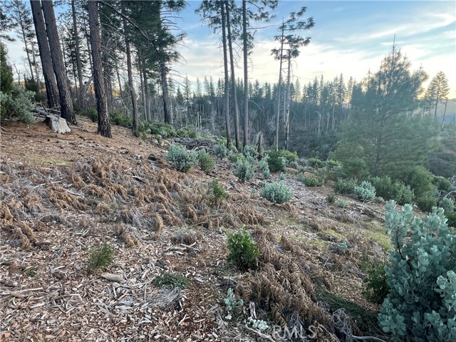 16749 Starview Loop Road, Cobb