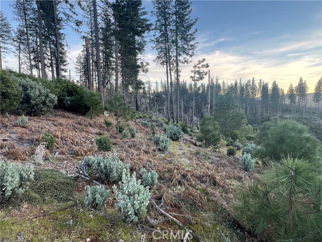 16749 Starview Loop Road, Cobb