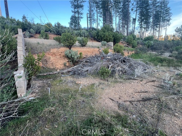 16749 Starview Loop Road, Cobb