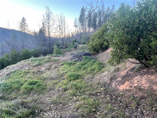 16749 Starview Loop Road, Cobb