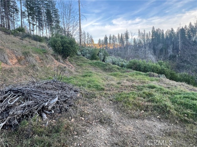 16749 Starview Loop Road, Cobb