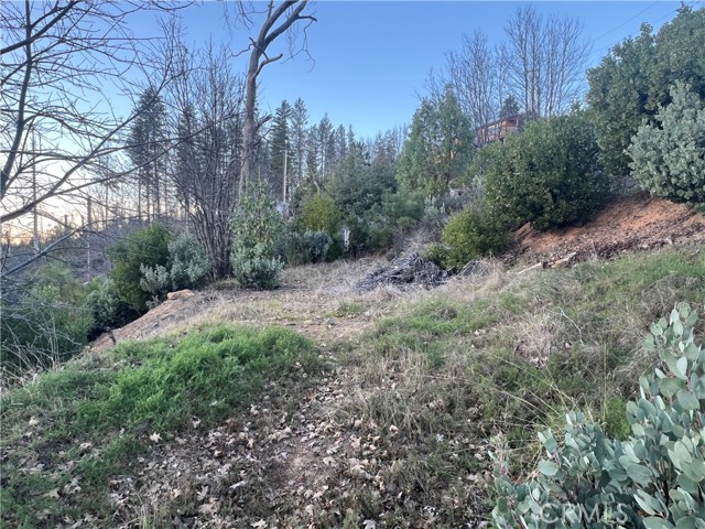 16749 Starview Loop Road, Cobb