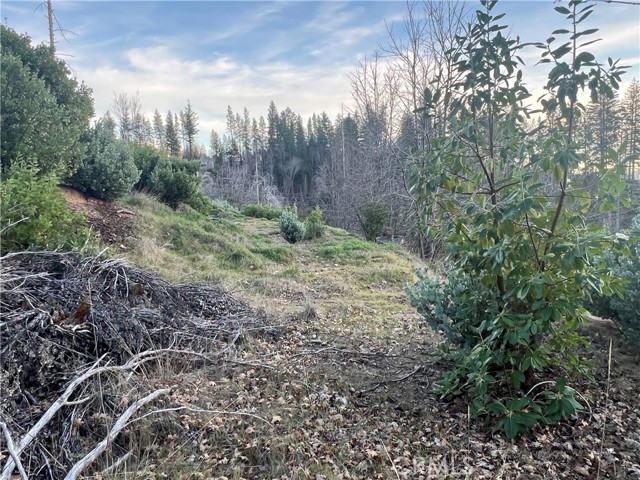 16749 Starview Loop Road, Cobb