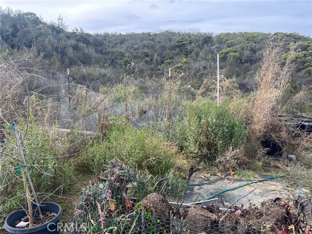 8445 Old Dirt Road, Kelseyville