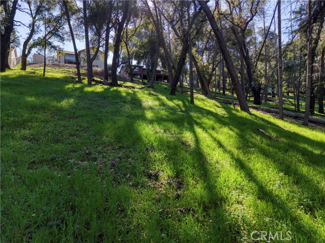 2999 Buckingham Dr., Kelseyville