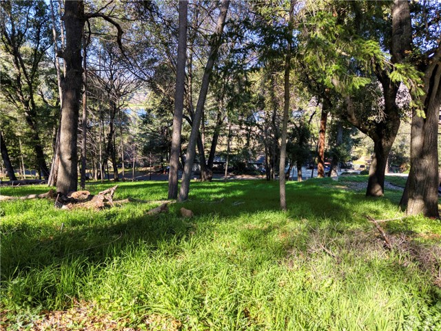 2999 Buckingham Dr., Kelseyville