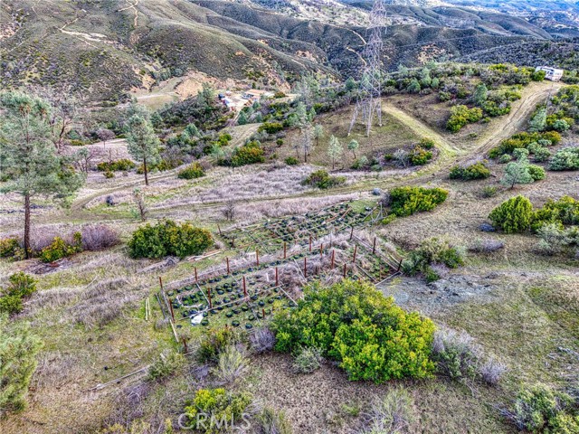 162 Mule Skinner, Clearlake Oaks