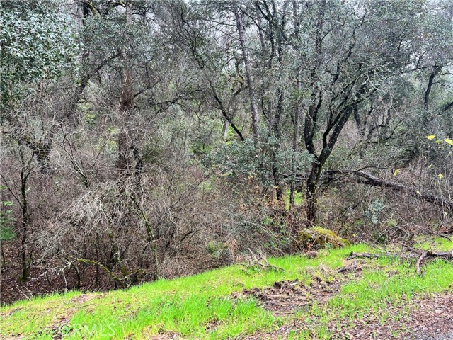 12215 Mountain View Drive, Clearlake Oaks