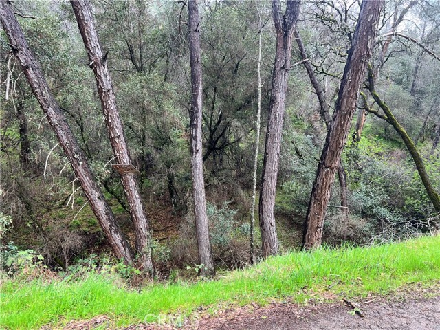 12215 Mountain View Drive, Clearlake Oaks