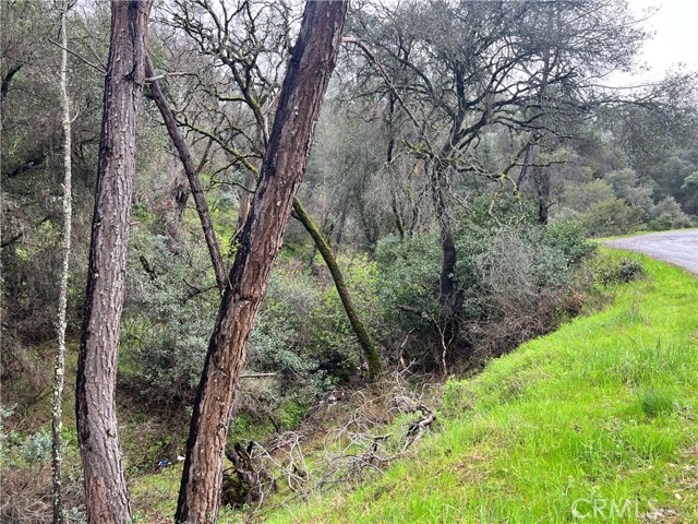 12215 Mountain View Drive, Clearlake Oaks