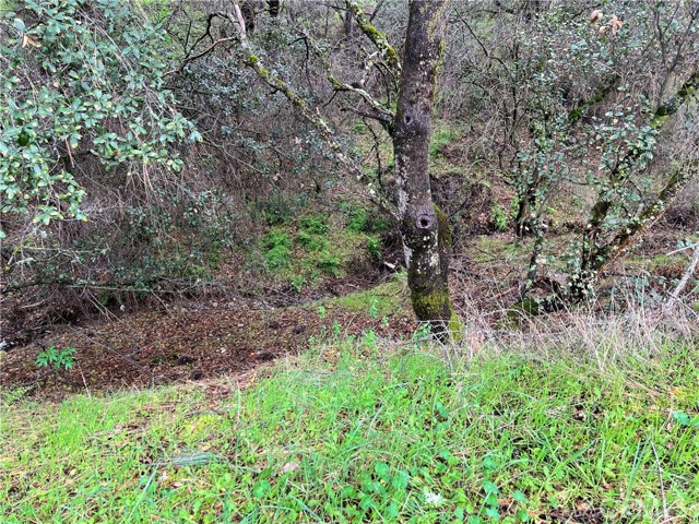 12215 Mountain View Drive, Clearlake Oaks