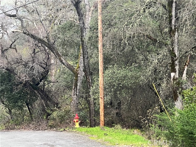 12215 Mountain View Drive, Clearlake Oaks