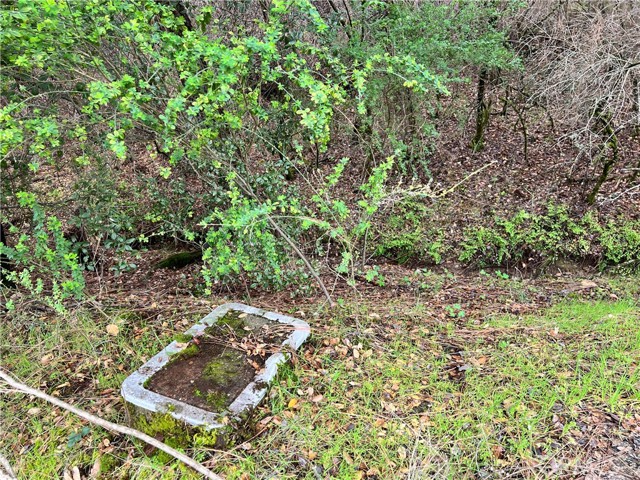 12215 Mountain View Drive, Clearlake Oaks