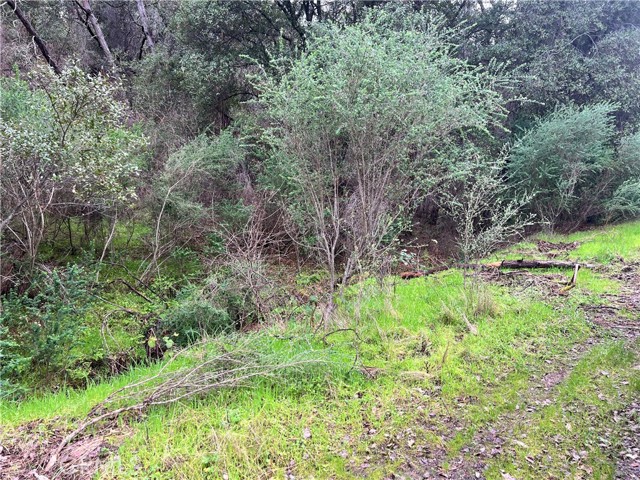 12215 Mountain View Drive, Clearlake Oaks