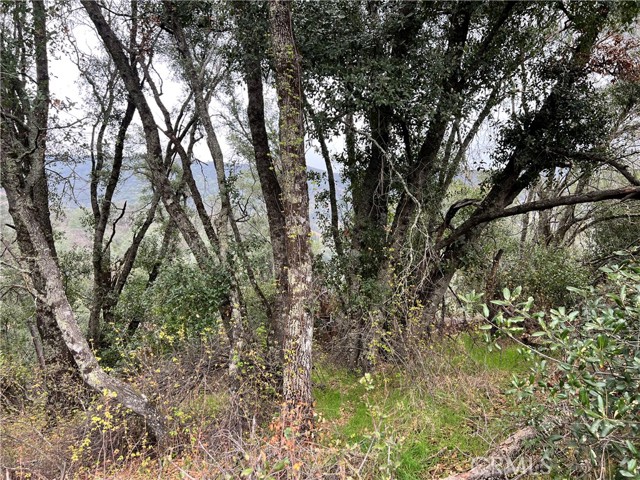 7166 Butte Court, Nice