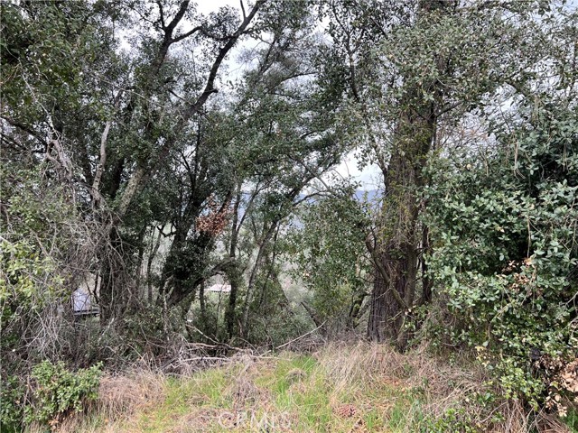 7166 Butte Court, Nice