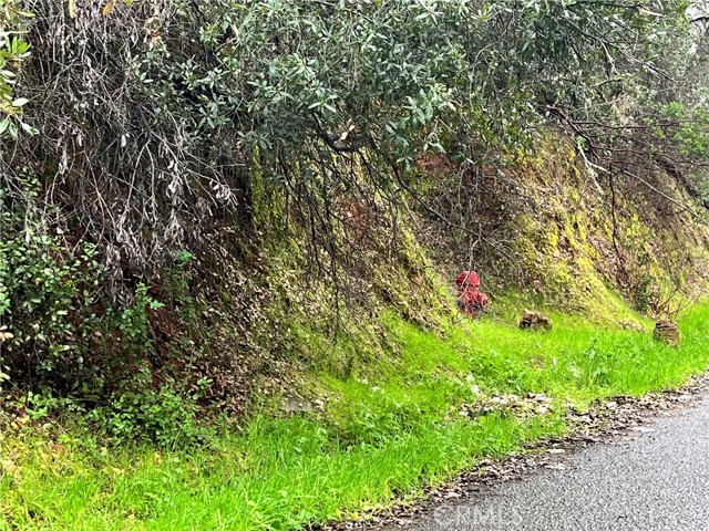 7022 Black Oak Street, Nice